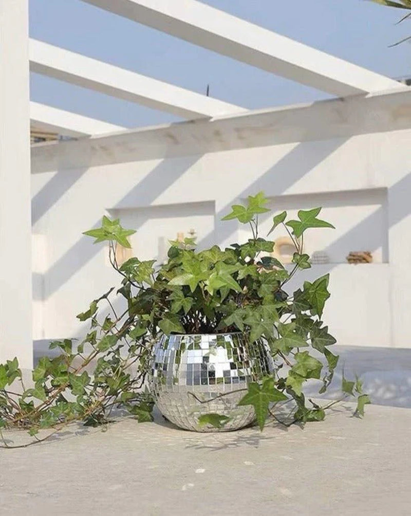 Eclectic Disco Ball Hanging Planters for Herbs, Patios & Front Yards