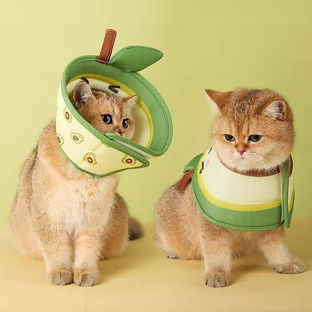 Soft Cat Recovery Cone – Adjustable Collar
