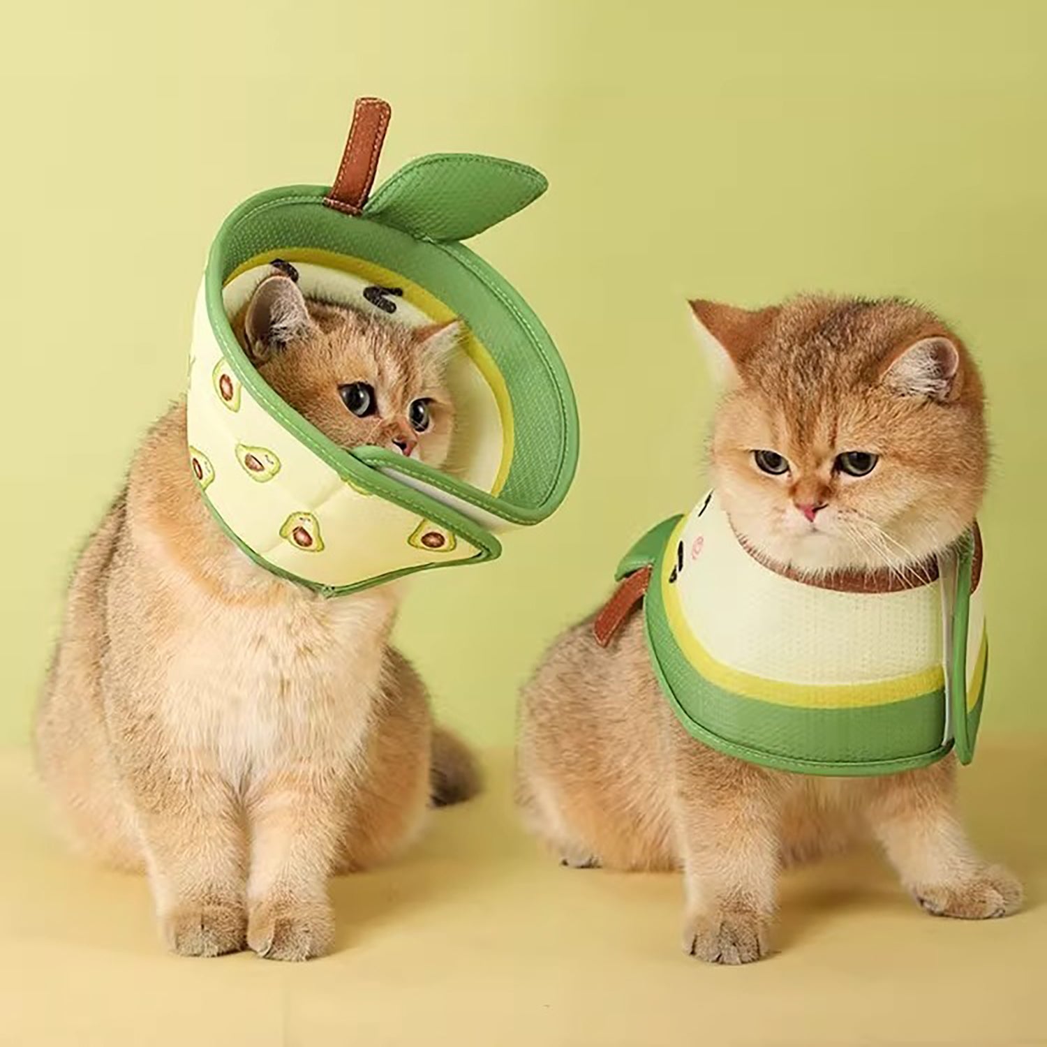 Soft Cat Recovery Cone – Adjustable Collar