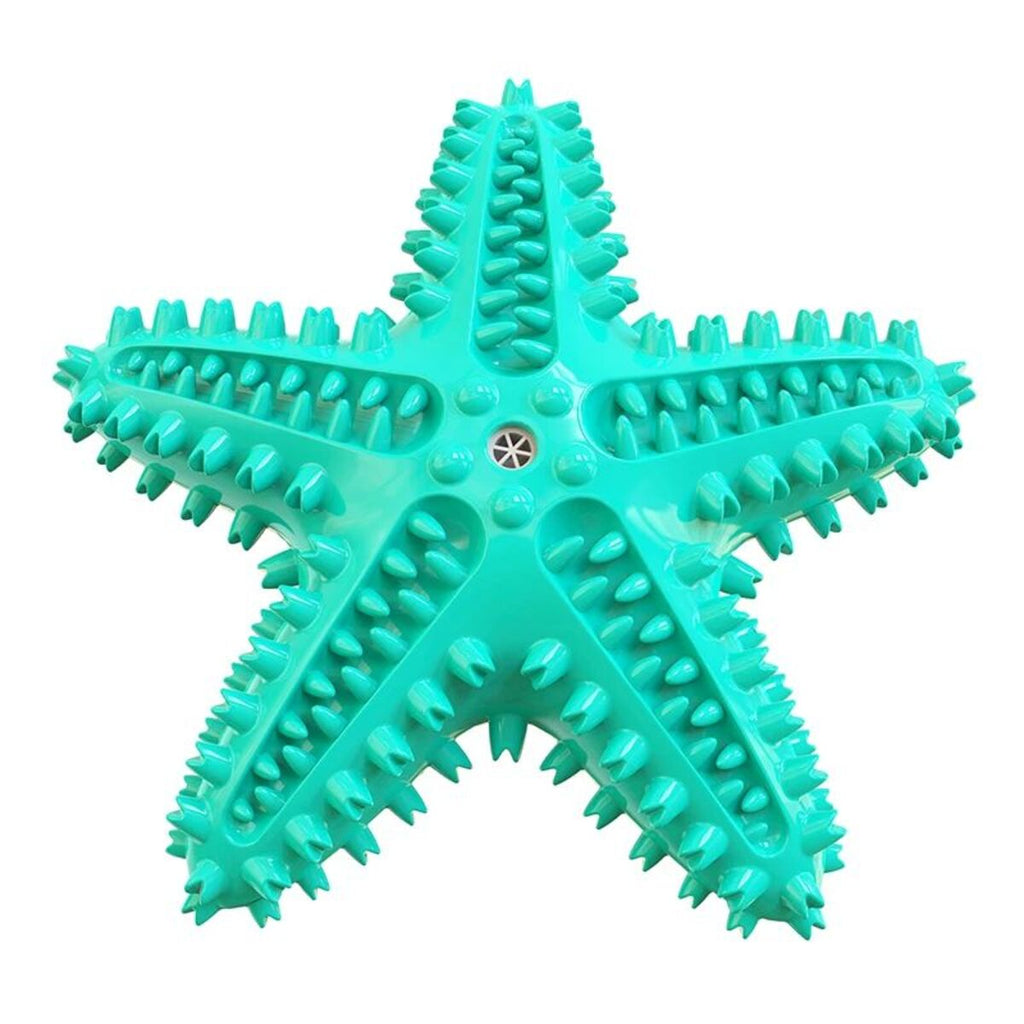 Starfish Chew Dog Toy – Interactive & Squeaky
