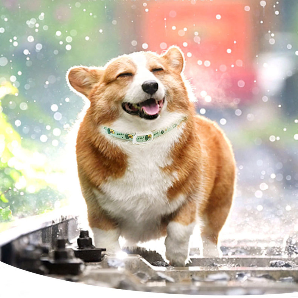 Pet Repellent Collar for Dogs & Cats – Adjustable Outdoor Use