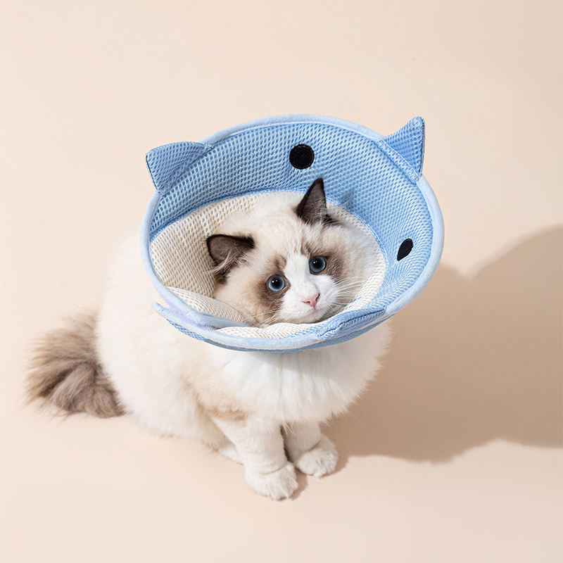 Soft Cat Recovery Collar – Comfortable Cone