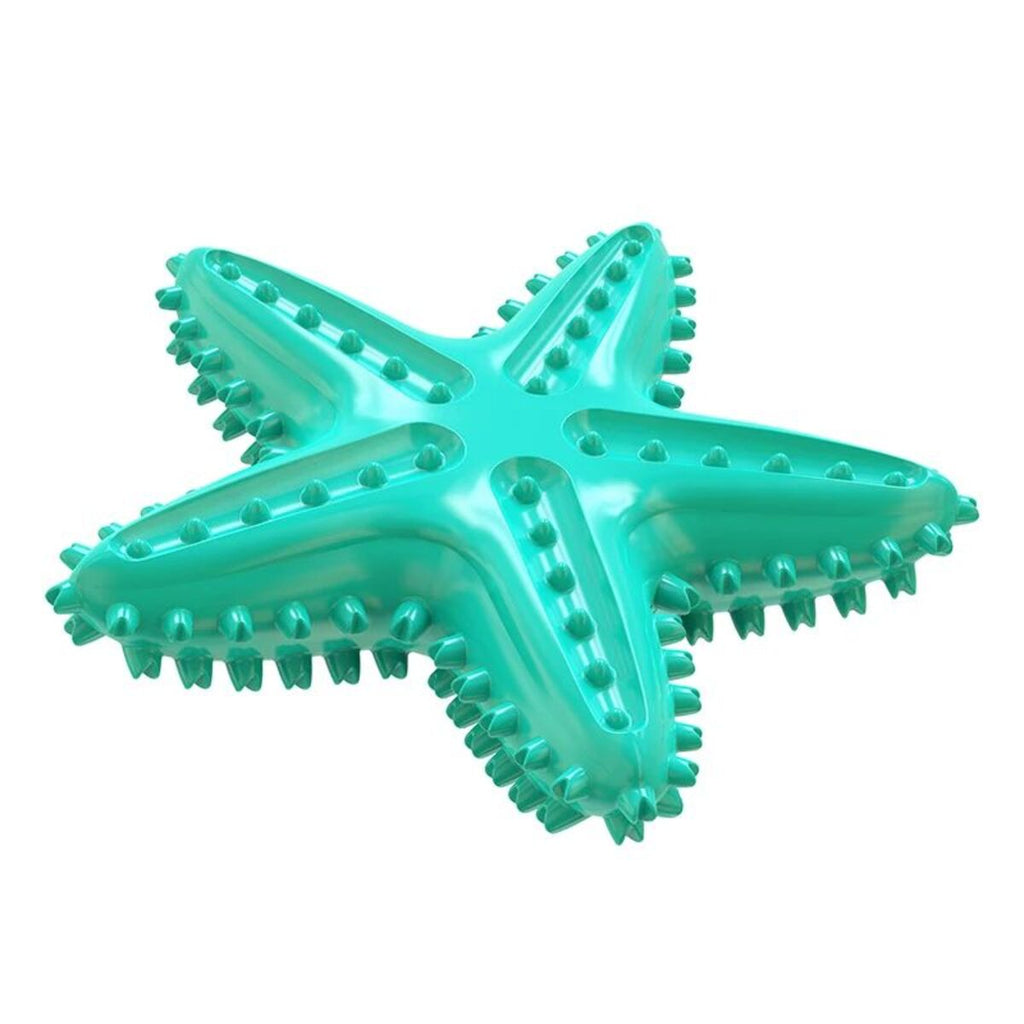 Starfish Chew Dog Toy – Interactive & Squeaky