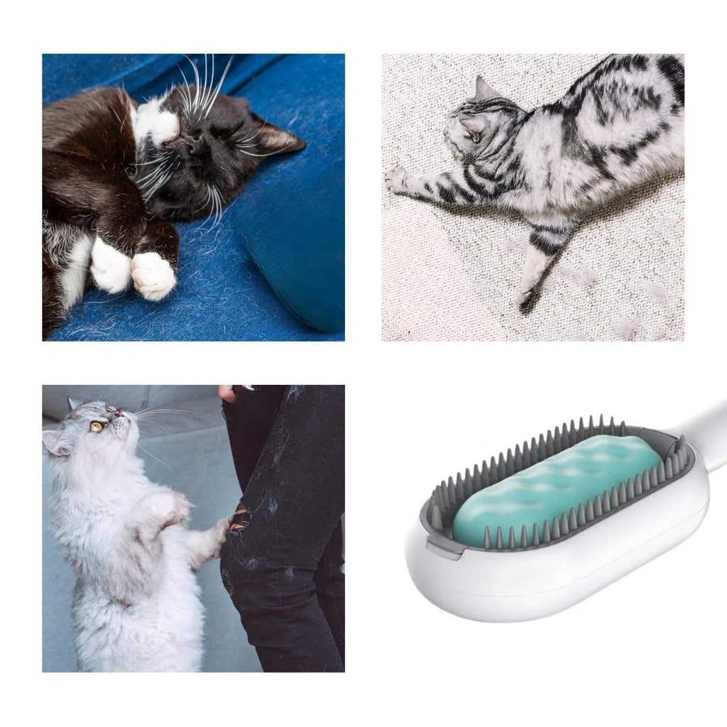 Cat Hair Brush with Water – Sticky Double-Sided Grooming Comb for Cats & Dogs