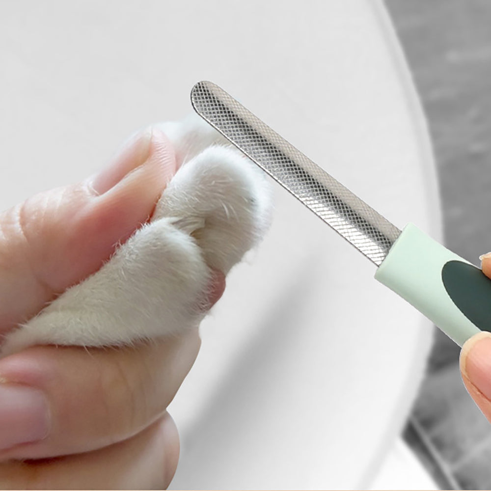 Professional Cordless Dog Grooming Clippers – Low-Noise Hair Trimmer for Dogs & Cats