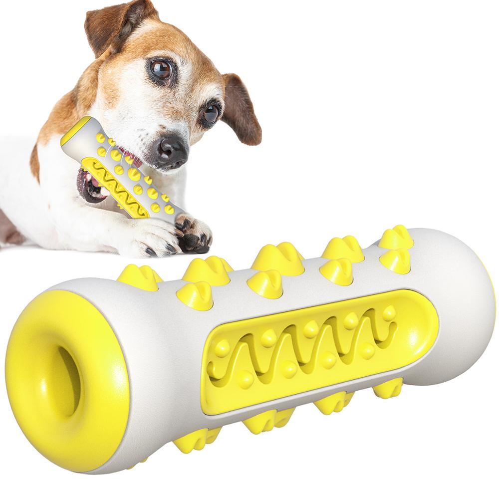 Dog Squeaky Chew Toy – Tough Rubber Toothbrush Toy for Training & Play