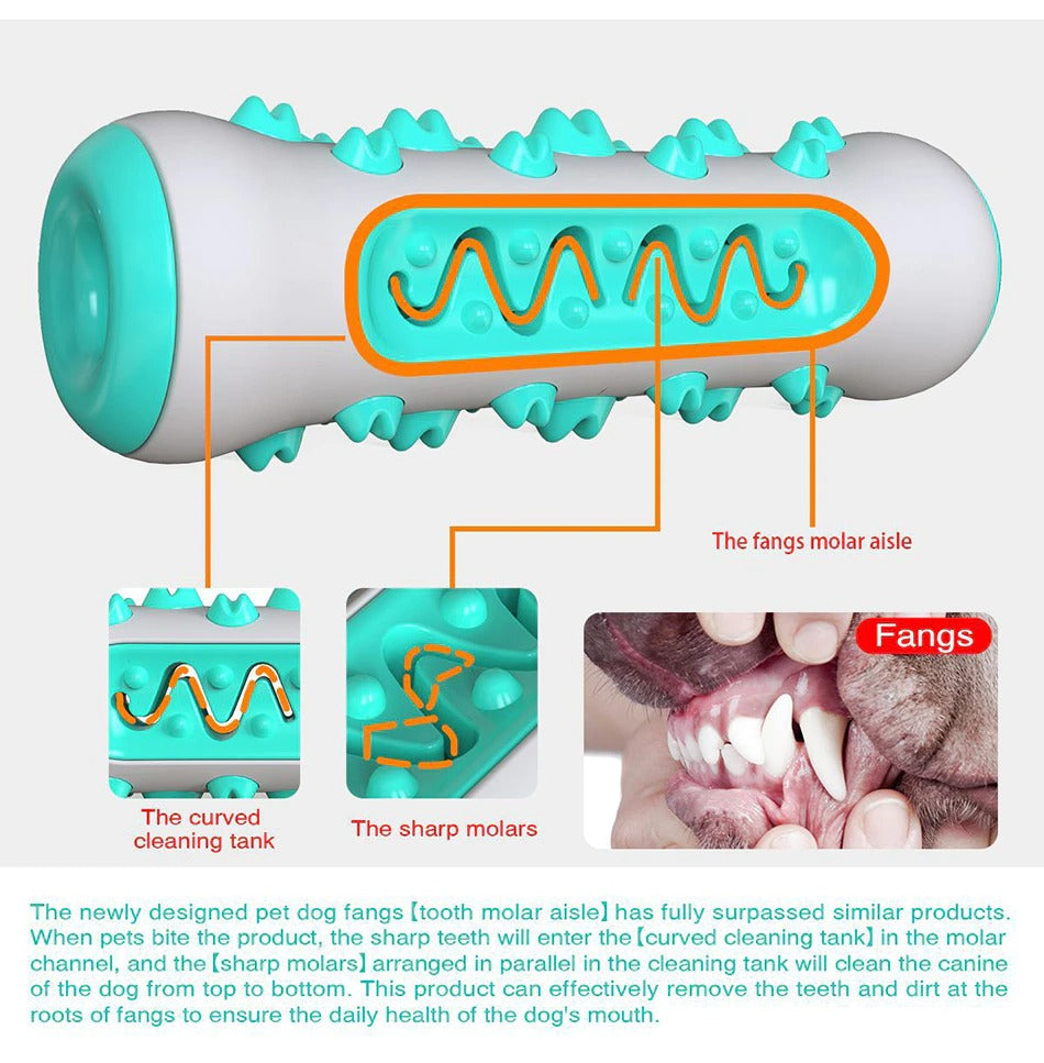 Dog Squeaky Chew Toy – Tough Rubber Toothbrush Toy for Training & Play