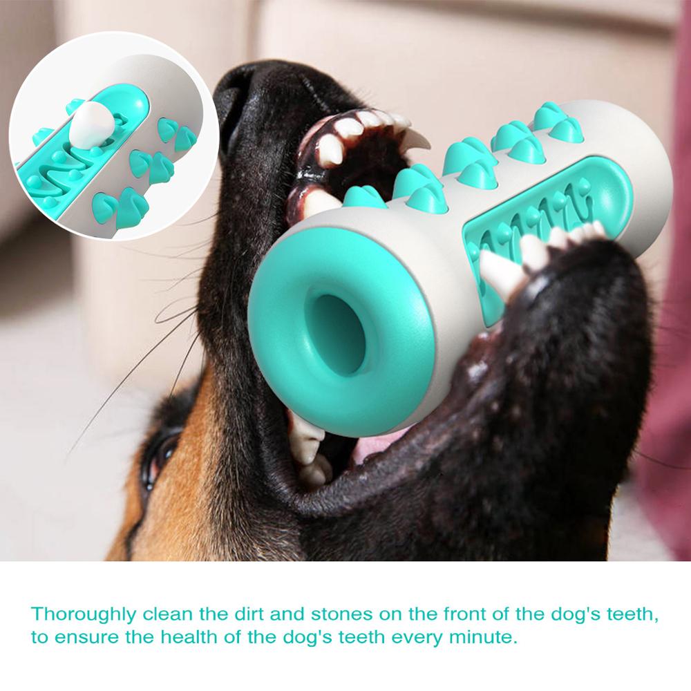 Dog Squeaky Chew Toy – Tough Rubber Toothbrush Toy for Training & Play