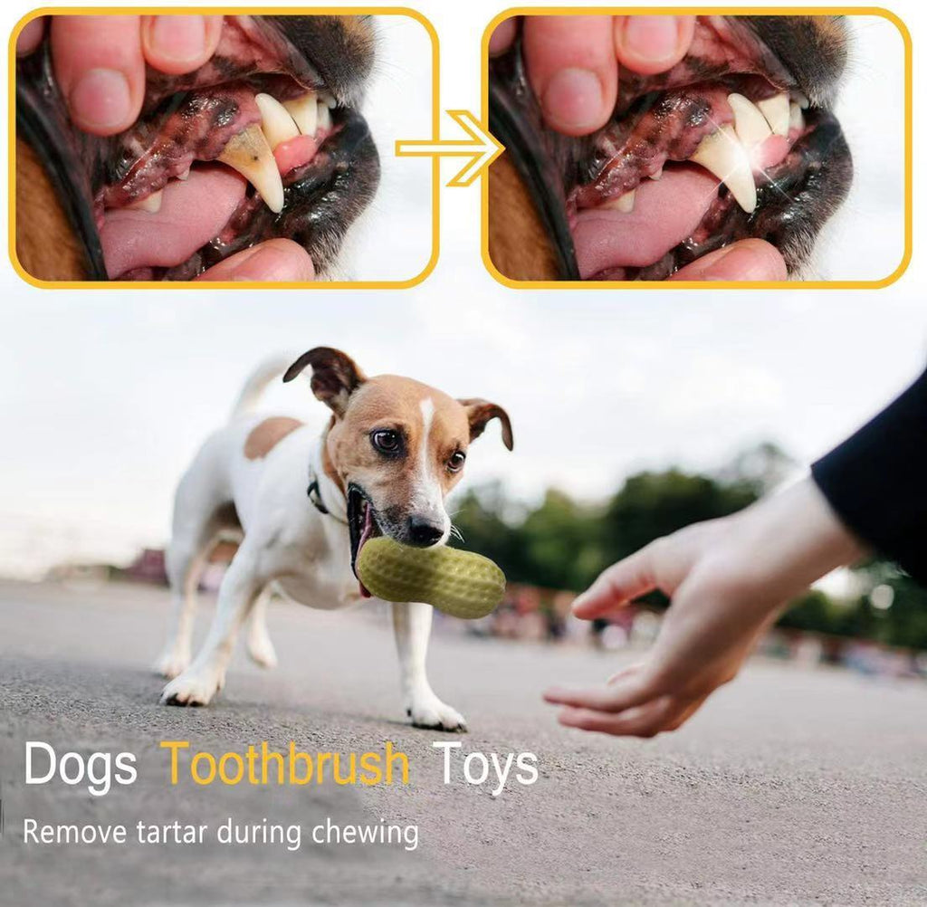 Squeaky Rubber Peanut Dog Chew Toy for Small & Medium Dogs