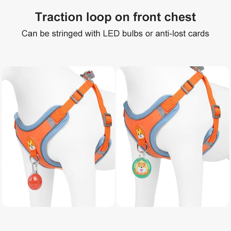 New Dog Leash and Harness Set Pet Dog Harness and Leash Set Adjustable Puppy Cat Harness Vest Reflective Walking No Pull Lead Leash for Small Dogs Chihuahua
