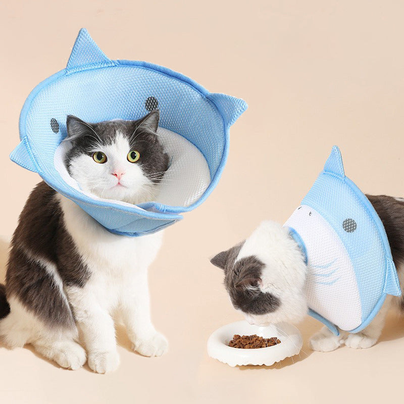 Soft Cat Recovery Collar – Comfortable Cone