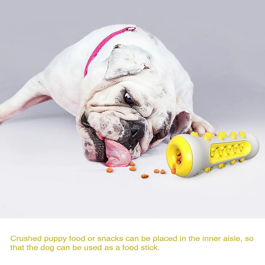 Dog Squeaky Chew Toy – Tough Rubber Toothbrush Toy for Training & Play