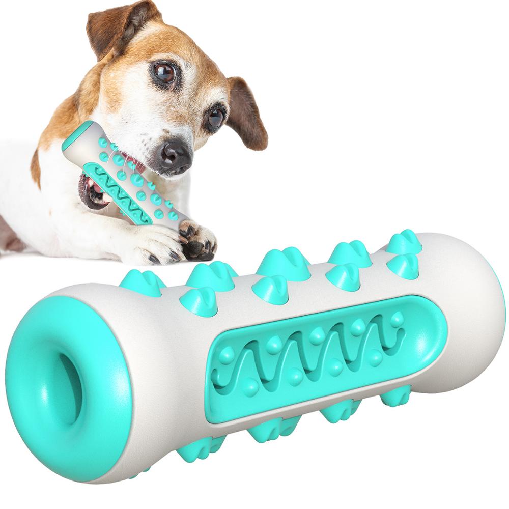 Dog Squeaky Chew Toy – Tough Rubber Toothbrush Toy for Training & Play