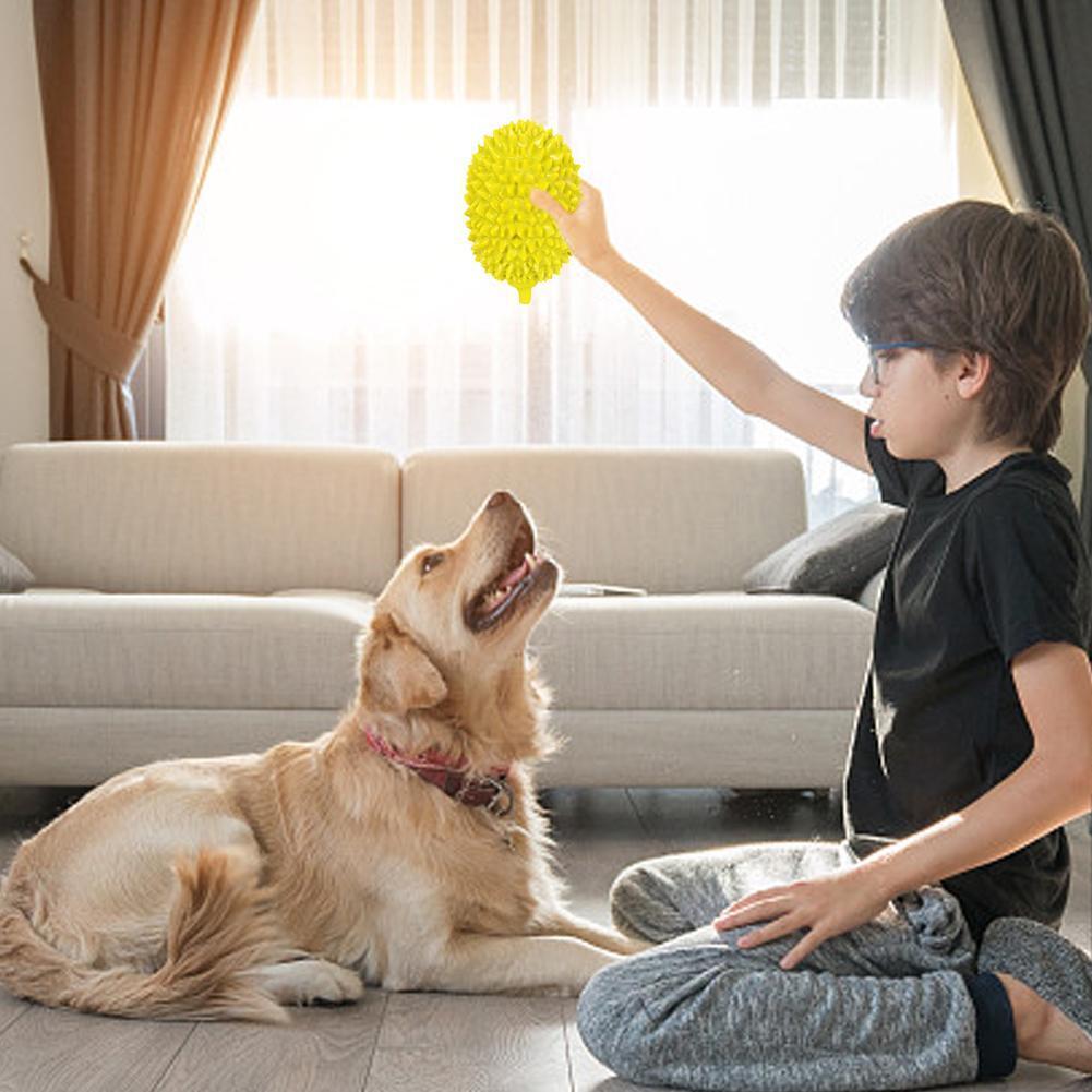 Dog Chew Ball for Teeth Cleaning – Durable Bite-Resistant Toy