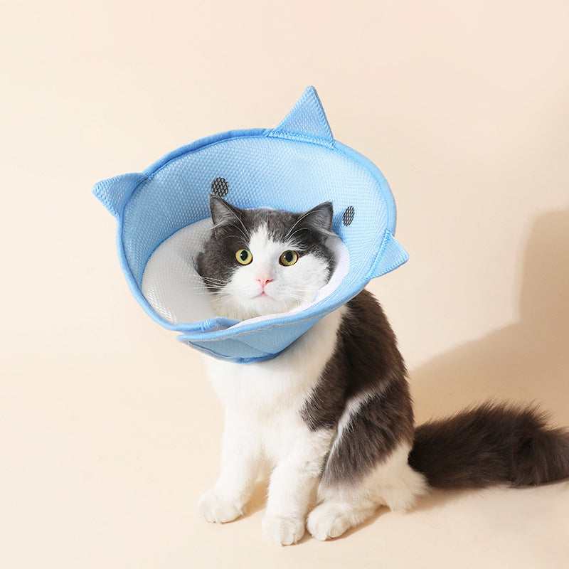 Soft Cat Recovery Collar – Comfortable Cone