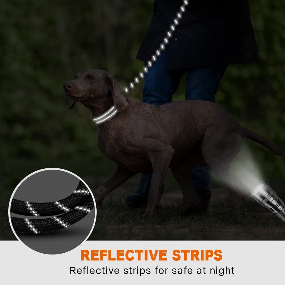 Hands-Free Elastic Dog Leash – Reflective Running & Jogging Lead with Padded Handle