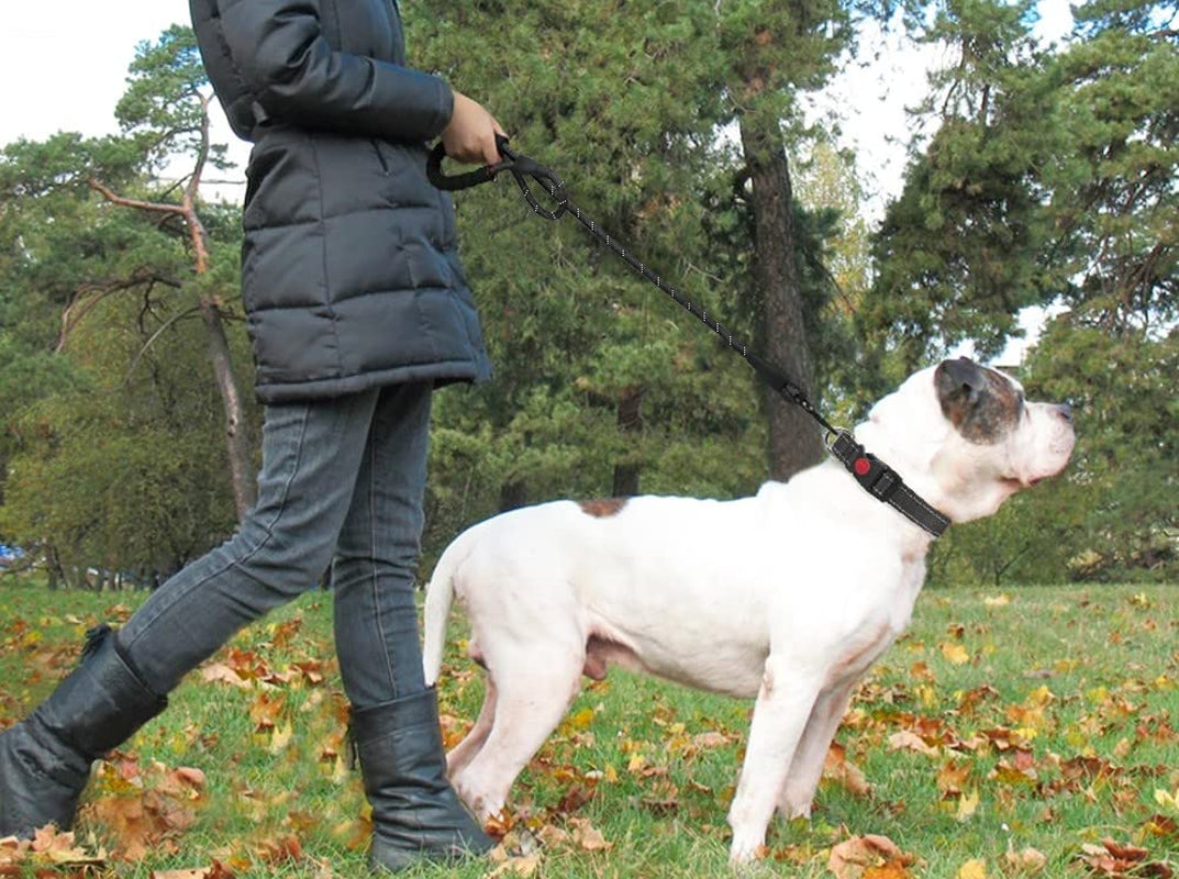 Hands-Free Elastic Dog Leash – Reflective Running & Jogging Lead with Padded Handle
