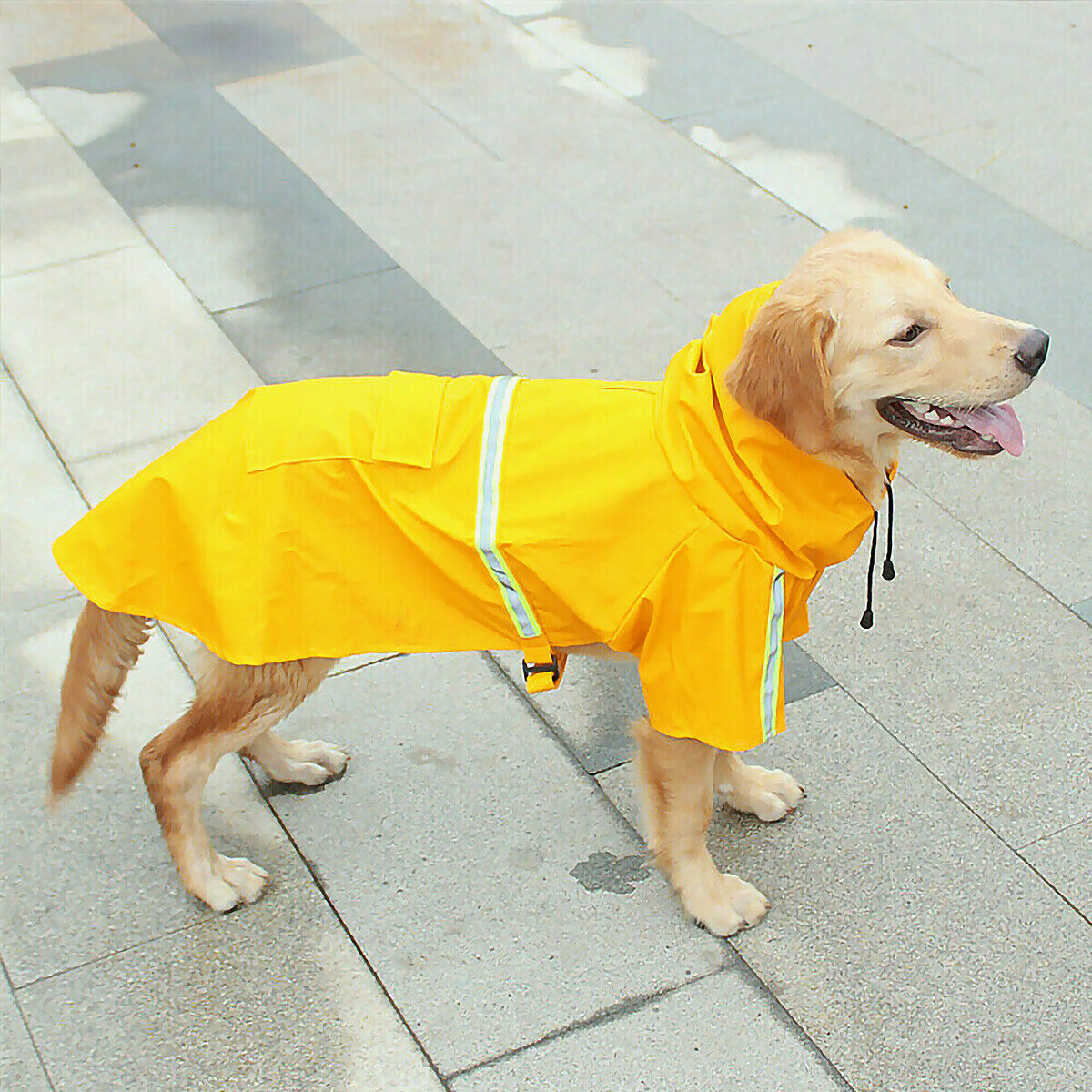 Waterproof Dog Raincoat with Reflective Stripe – Hooded Rain Jacket with Leash Access