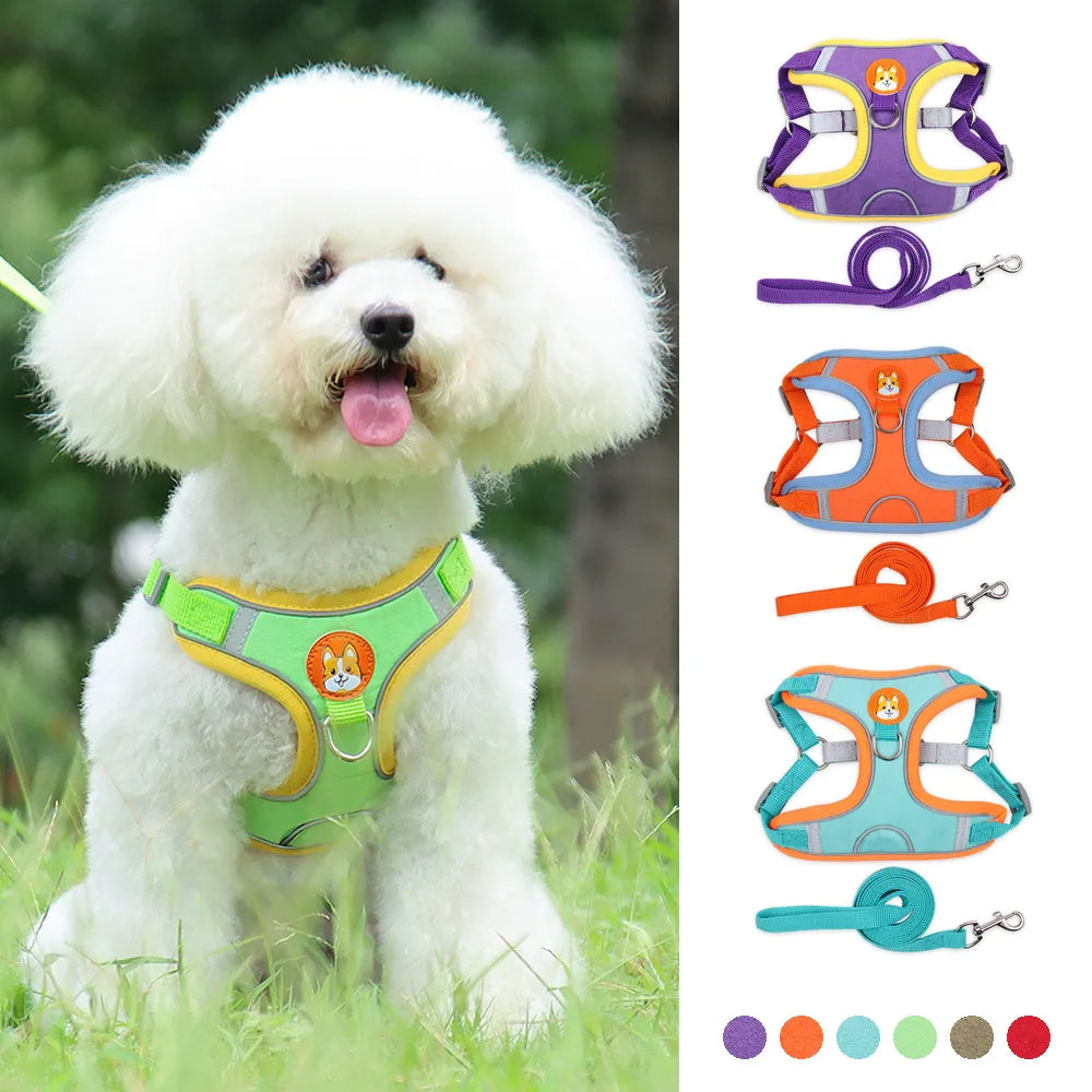 New Dog Leash and Harness Set Pet Dog Harness and Leash Set Adjustable Puppy Cat Harness Vest Reflective Walking No Pull Lead Leash for Small Dogs Chihuahua