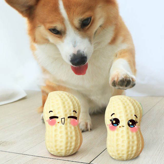 Squeaky Rubber Peanut Dog Chew Toy for Small & Medium Dogs