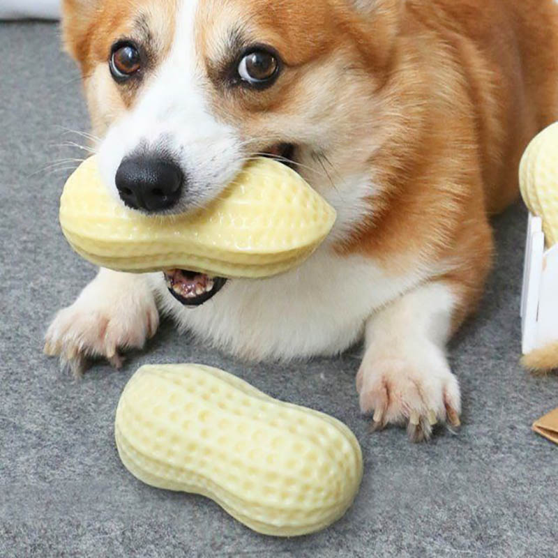 Squeaky Rubber Peanut Dog Chew Toy for Small & Medium Dogs