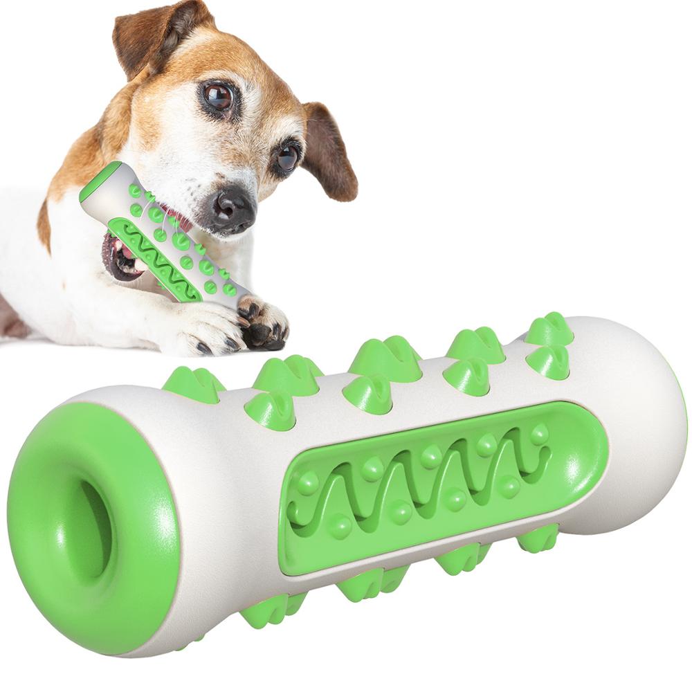 Dog Squeaky Chew Toy – Tough Rubber Toothbrush Toy for Training & Play