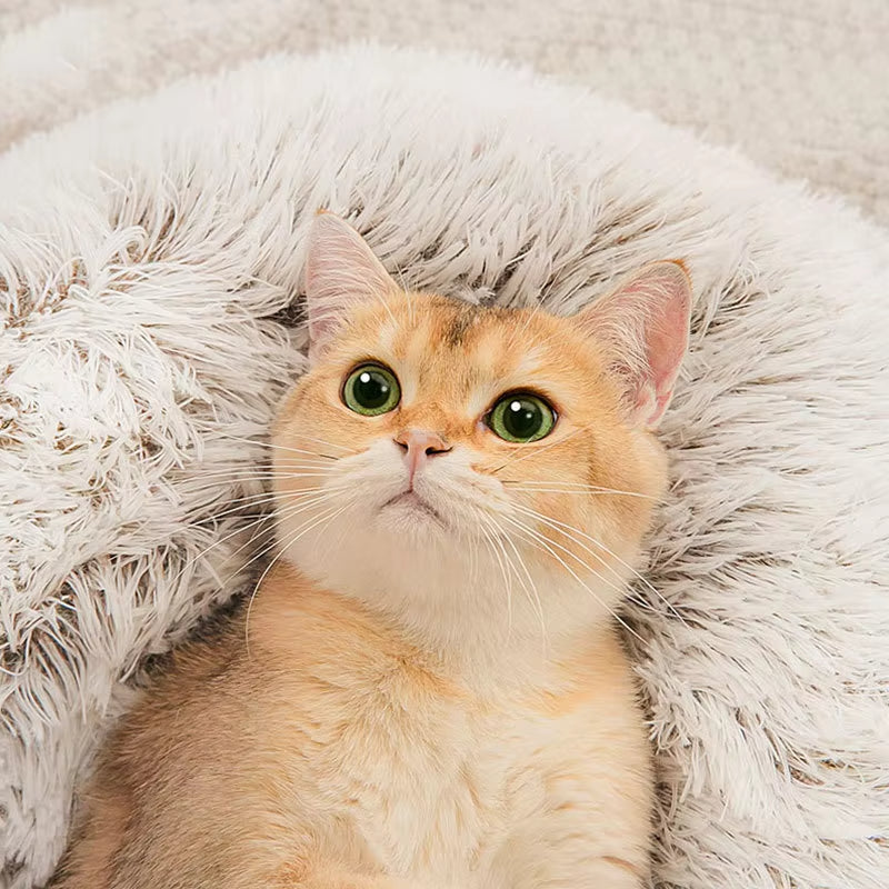 Winter Plush Round Pet Bed – Warm & Cozy Cat Nest