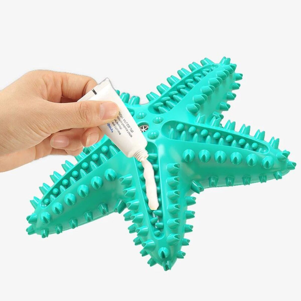 Starfish Chew Dog Toy – Interactive & Squeaky