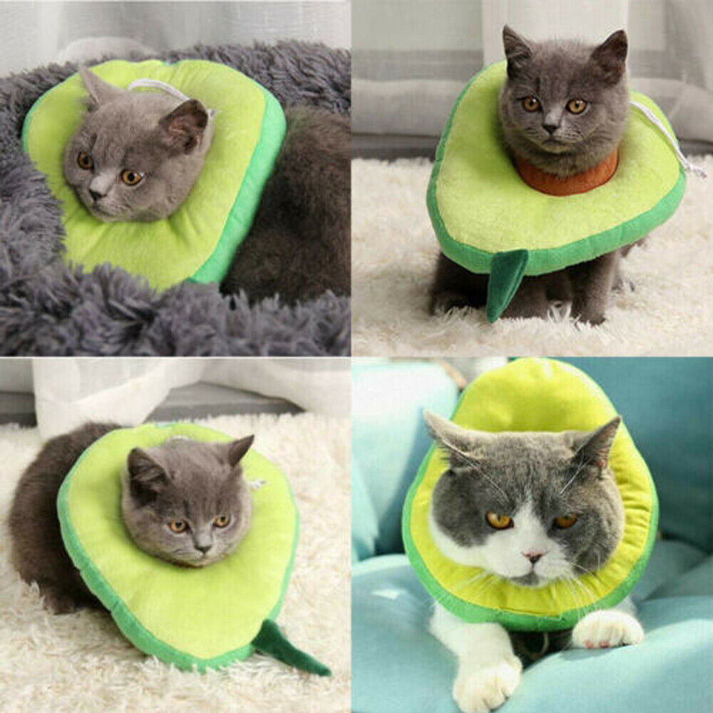 Adjustable Pet Recovery Cone – Soft Lemon Elizabethan Collar for Cats & Small Dogs