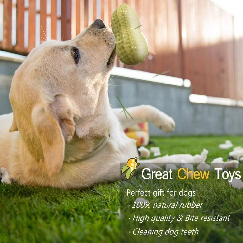 Squeaky Rubber Peanut Dog Chew Toy for Small & Medium Dogs