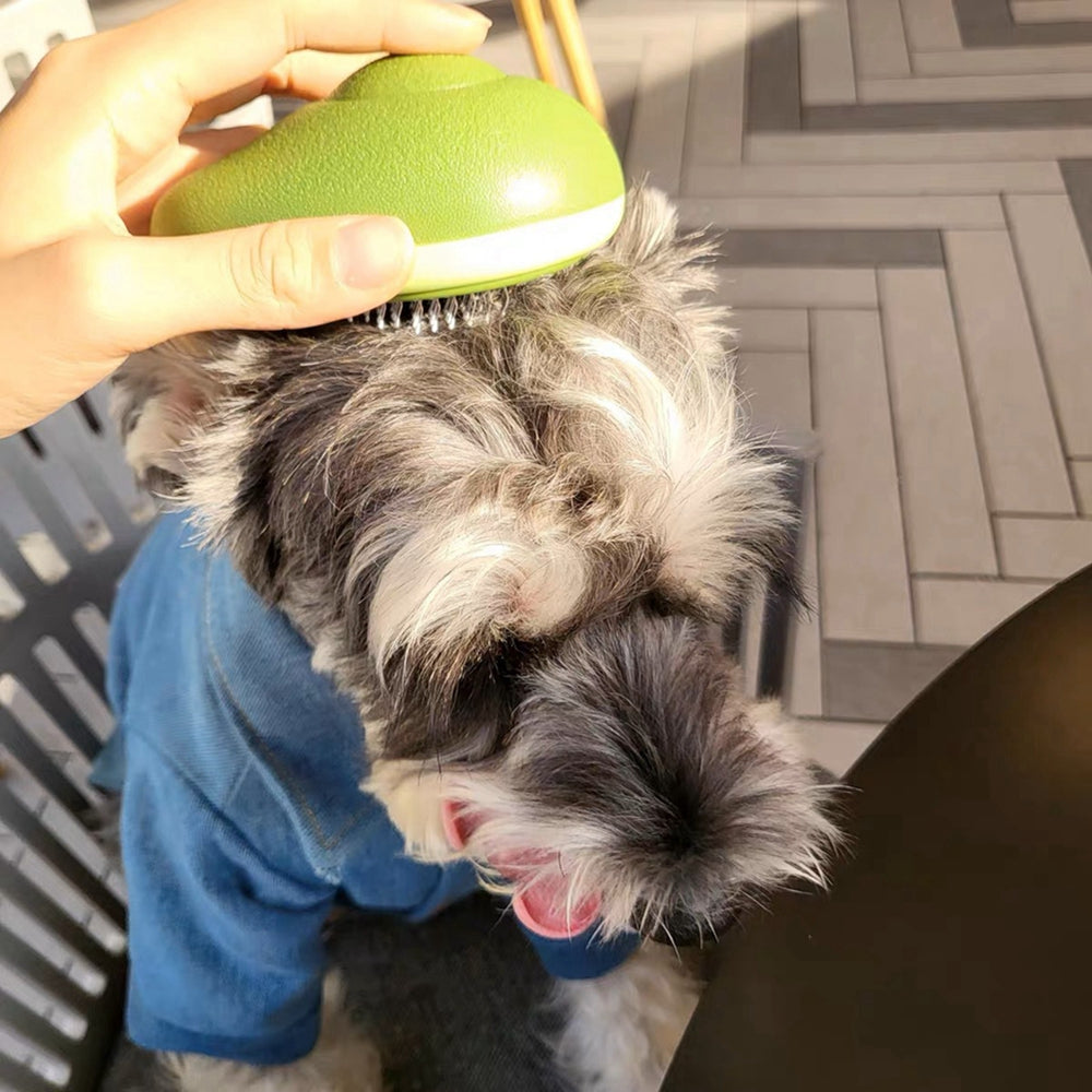 Creative Pet Grooming Comb – One-Button Floating Hair Removal Massage Brush