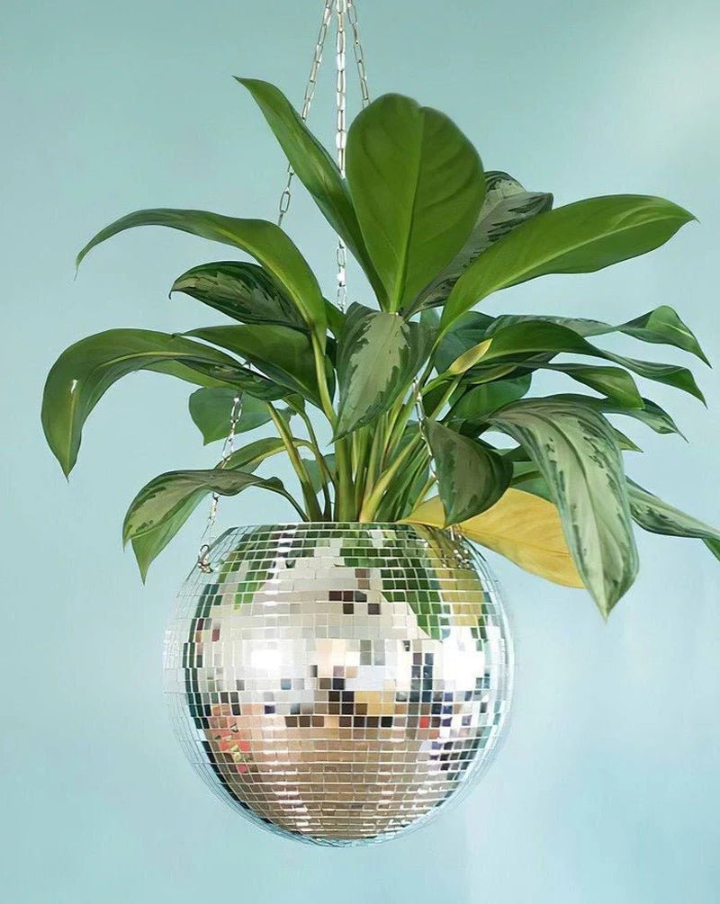 Eclectic Disco Ball Hanging Planters for Herbs, Patios & Front Yards