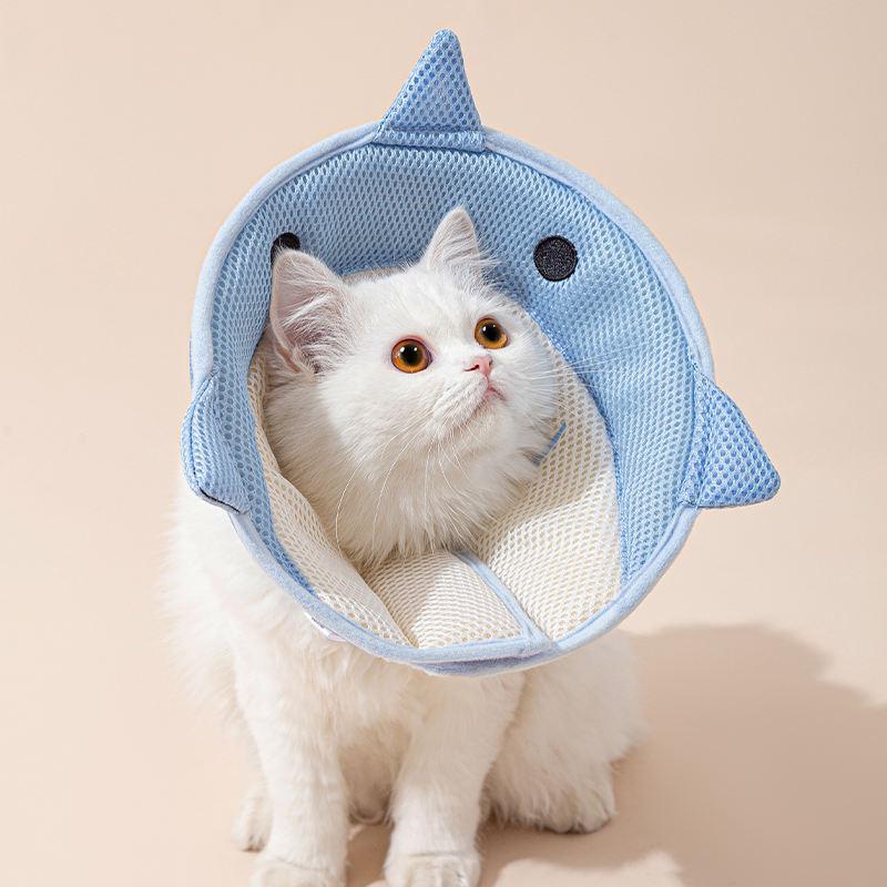 Soft Cat Recovery Collar – Comfortable Cone