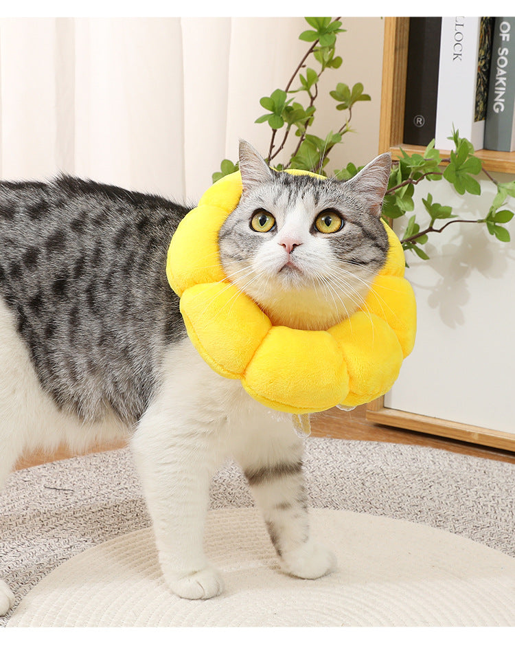 Adjustable Pet Recovery Collar – Sunflower Cone for Wound Healing & Surgery