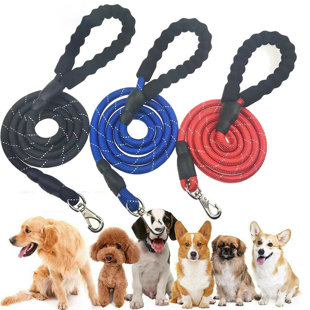 Hands-Free Elastic Dog Leash – Reflective Running & Jogging Lead with Padded Handle