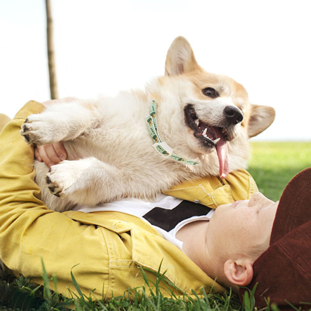 Pet Repellent Collar for Dogs & Cats – Adjustable Outdoor Use