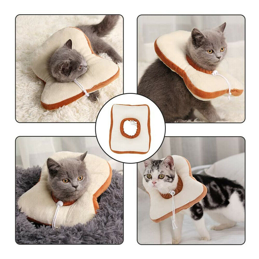 Adjustable Pet Recovery Cone – Soft Lemon Elizabethan Collar for Cats & Small Dogs