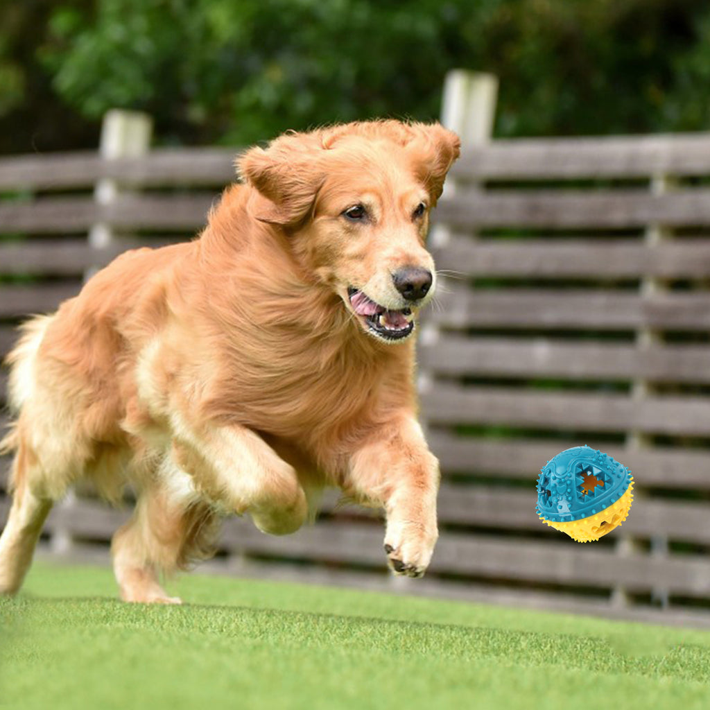 Dog Chew Treat Sound Ball
