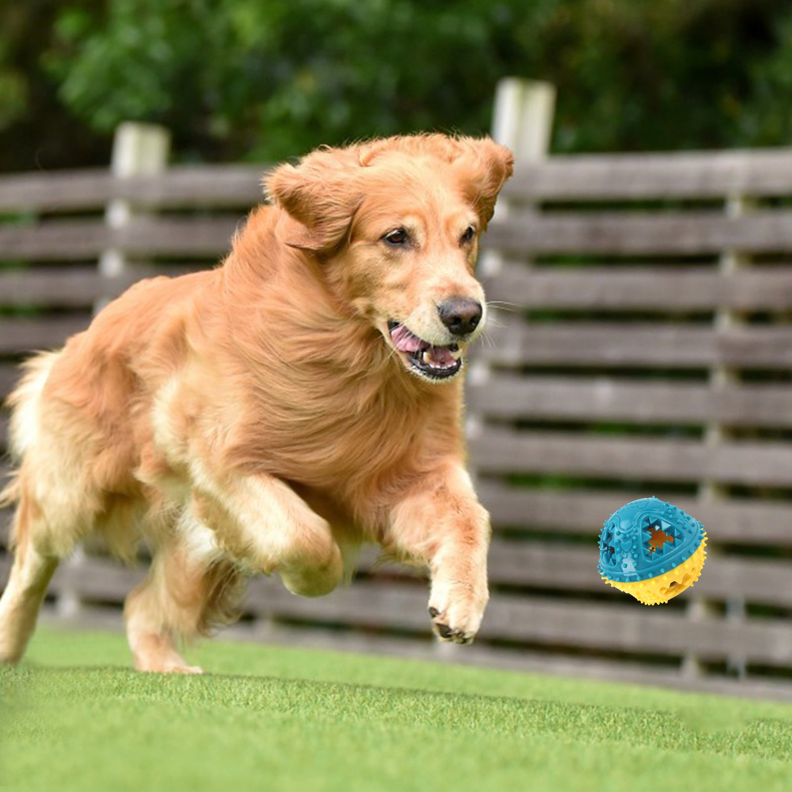 Dog Chew Treat Sound Ball