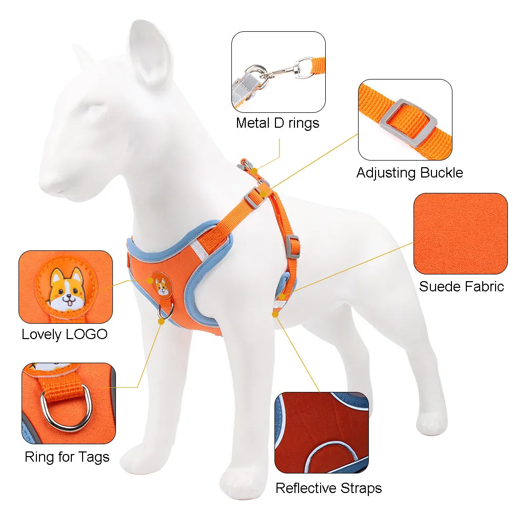 New Dog Leash and Harness Set Pet Dog Harness and Leash Set Adjustable Puppy Cat Harness Vest Reflective Walking No Pull Lead Leash for Small Dogs Chihuahua