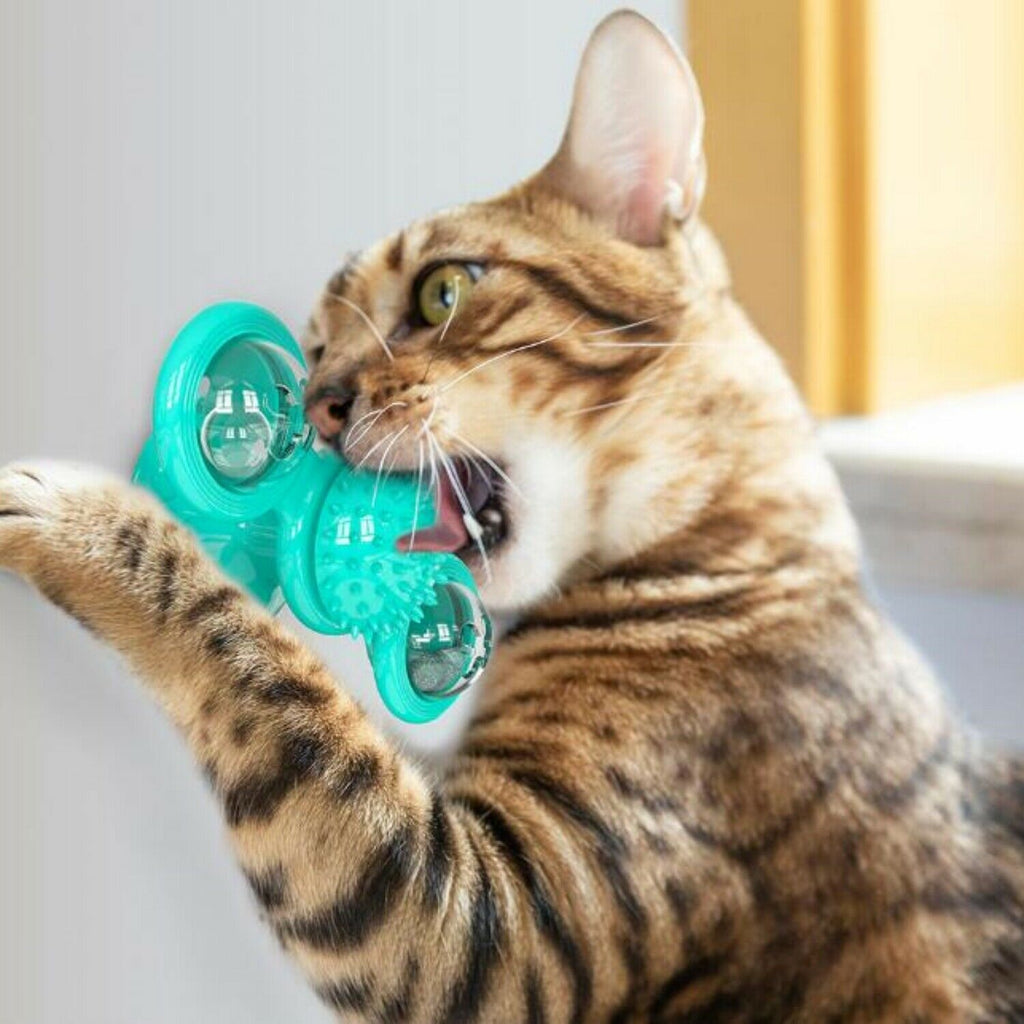 Rotating Windmill Cat Toy – Interactive Suction Cup Spinner with Catnip & Teeth Cleaning Ball