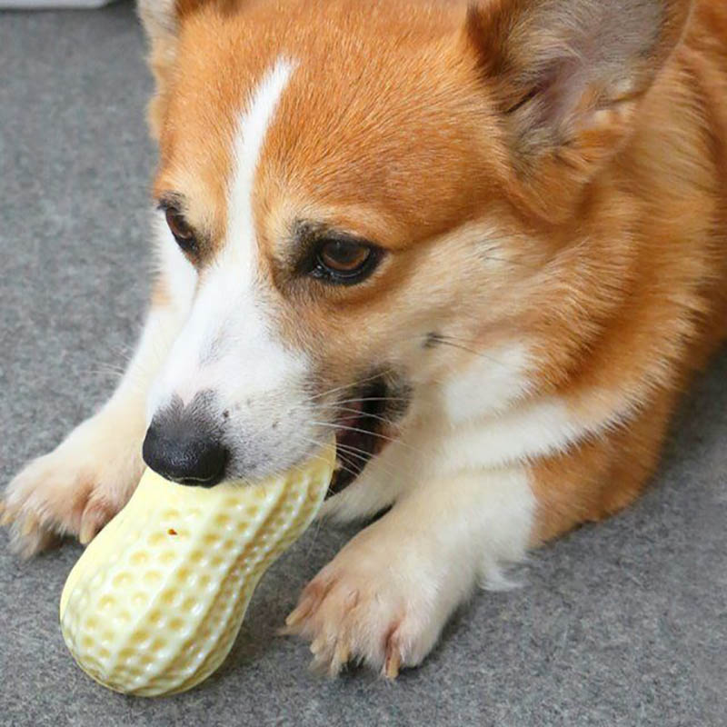 Squeaky Rubber Peanut Dog Chew Toy for Small & Medium Dogs
