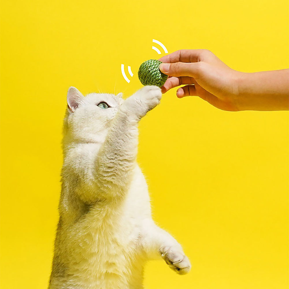 Interactive Cat Toy Balls – 3-Piece Sisal Chew Set