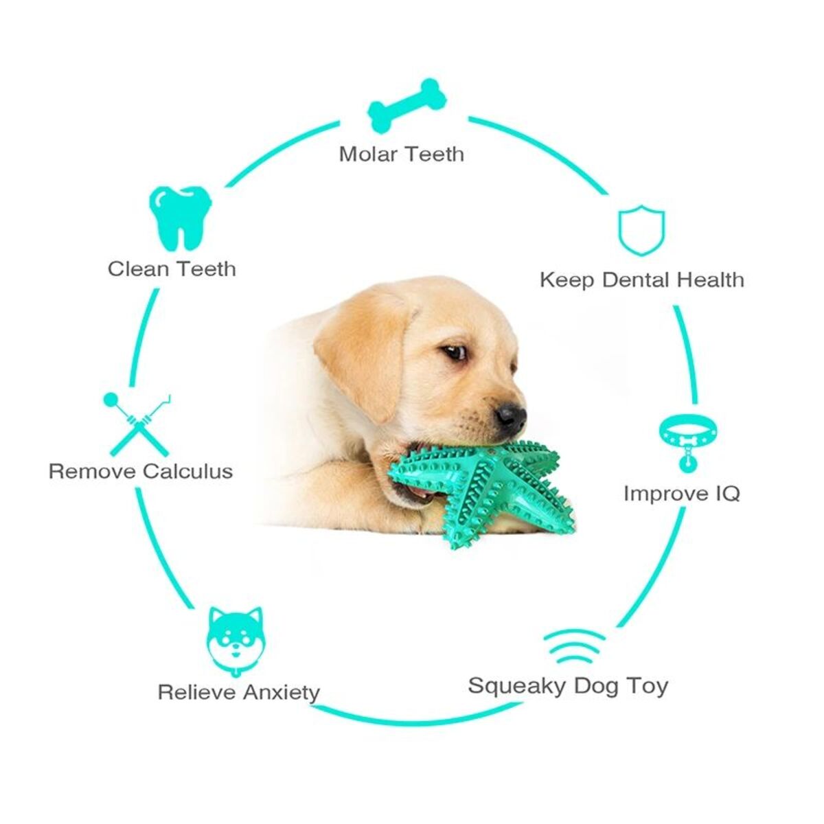 Starfish Chew Dog Toy – Interactive & Squeaky