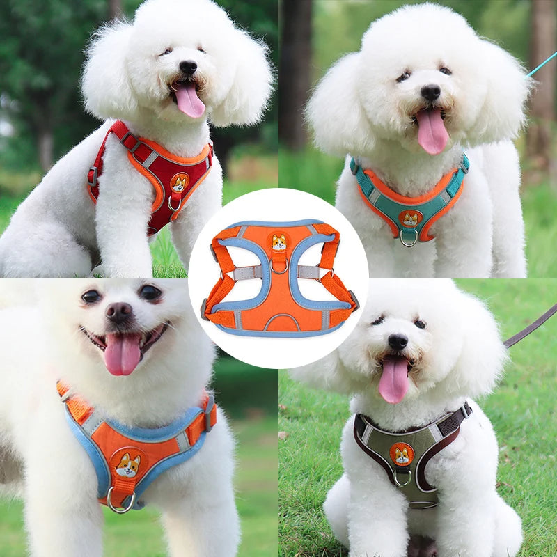 New Dog Leash and Harness Set Pet Dog Harness and Leash Set Adjustable Puppy Cat Harness Vest Reflective Walking No Pull Lead Leash for Small Dogs Chihuahua