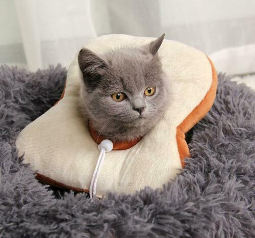 Adjustable Pet Recovery Cone – Soft Lemon Elizabethan Collar for Cats & Small Dogs