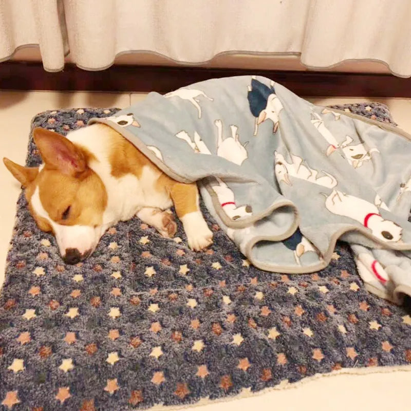 Washable Pet Crate Mat – Super Soft Fleece Bed for Small, Medium & Large Dogs