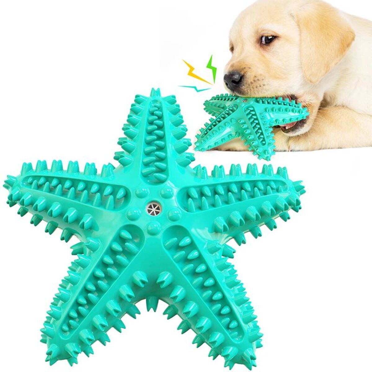 Starfish Chew Dog Toy – Interactive & Squeaky