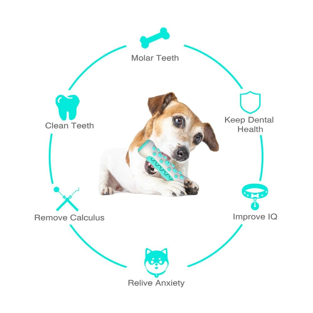 Dog Squeaky Chew Toy – Tough Rubber Toothbrush Toy for Training & Play