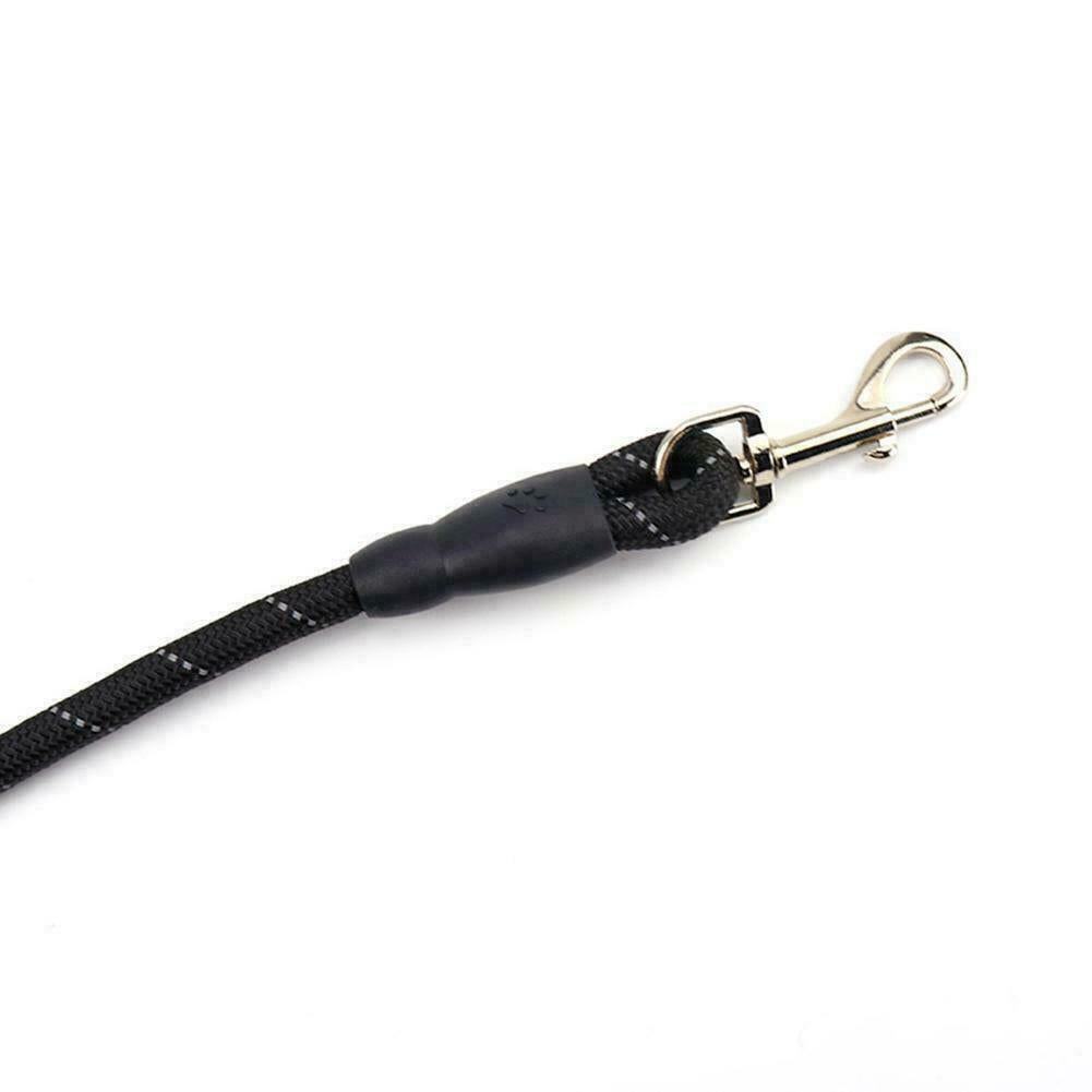 Hands-Free Elastic Dog Leash – Reflective Running & Jogging Lead with Padded Handle